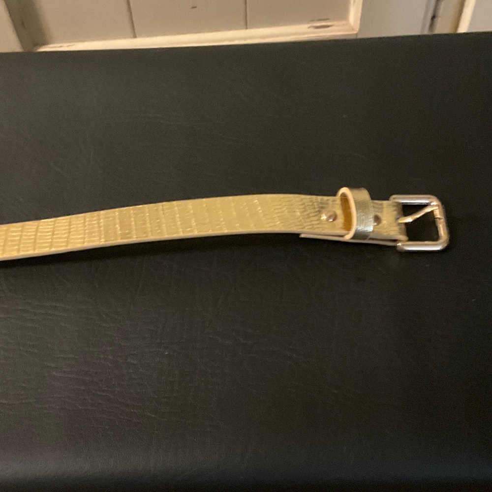 Gold Textured Skinny Belt with Silver Buckle